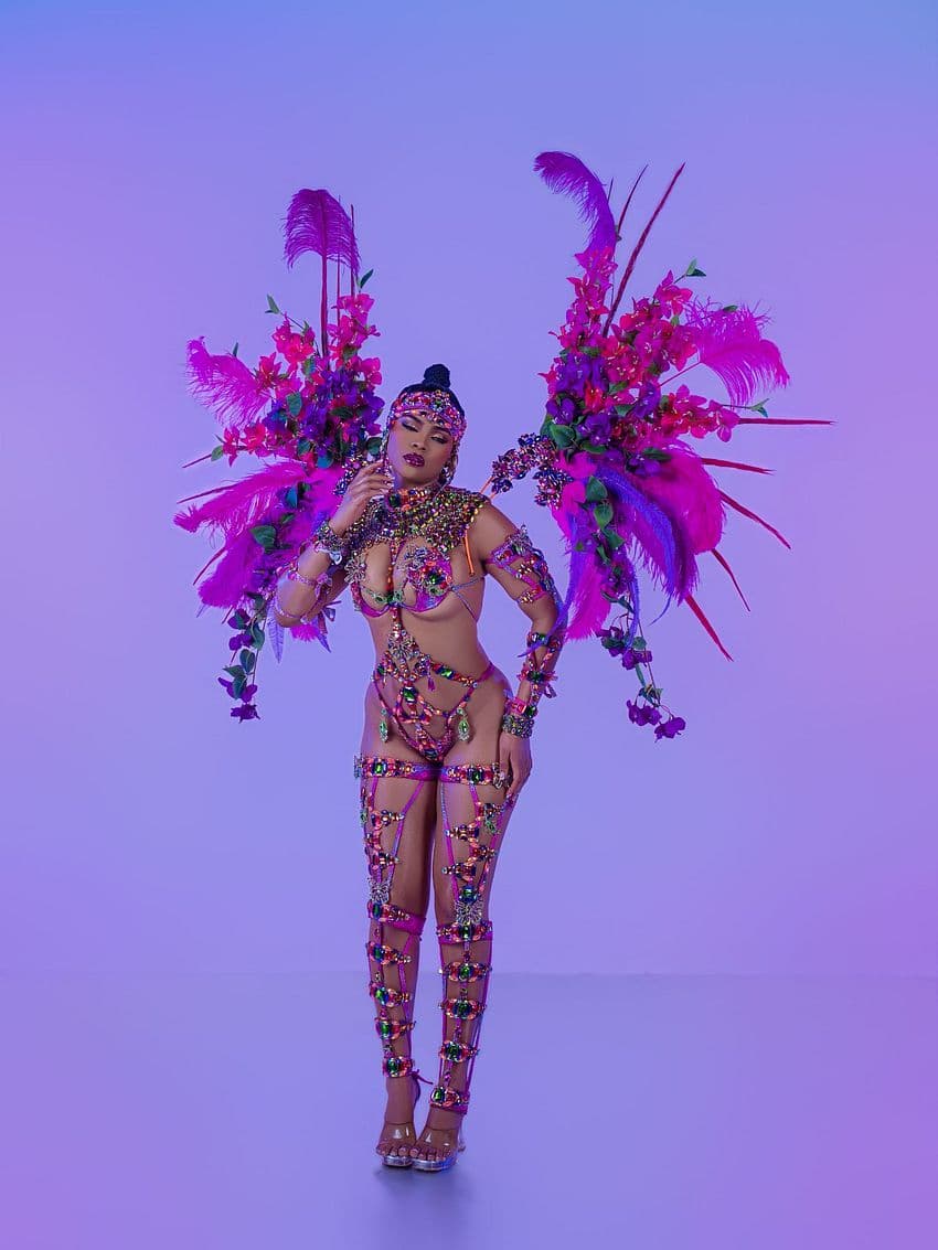 Package image