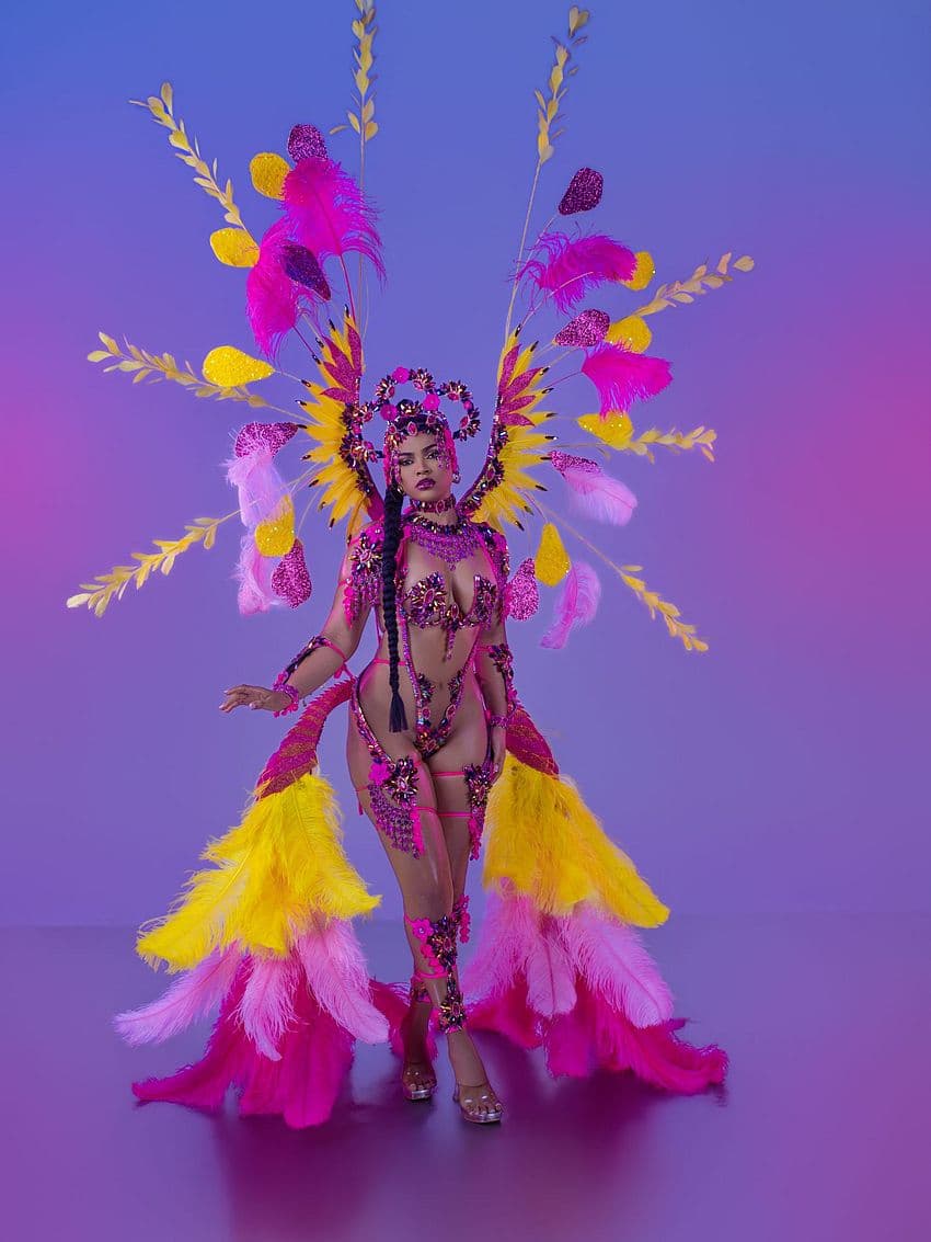 Package image