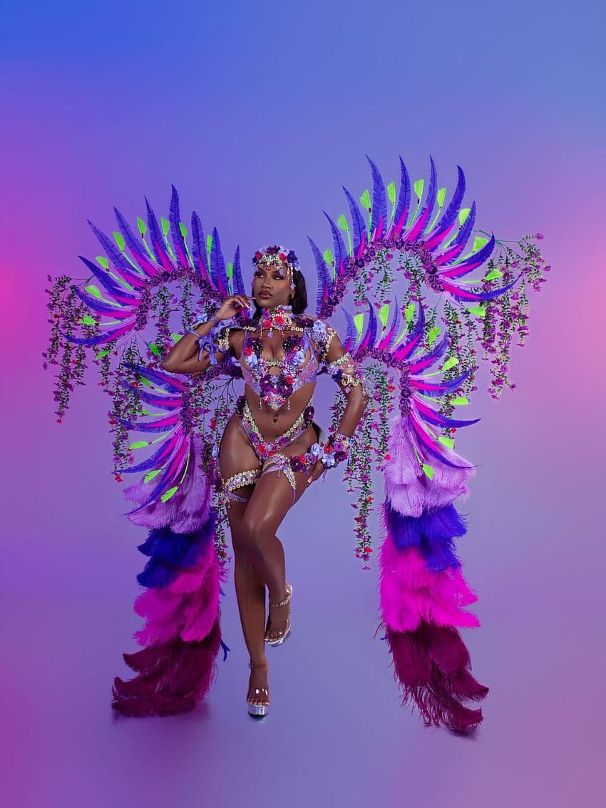 Package image