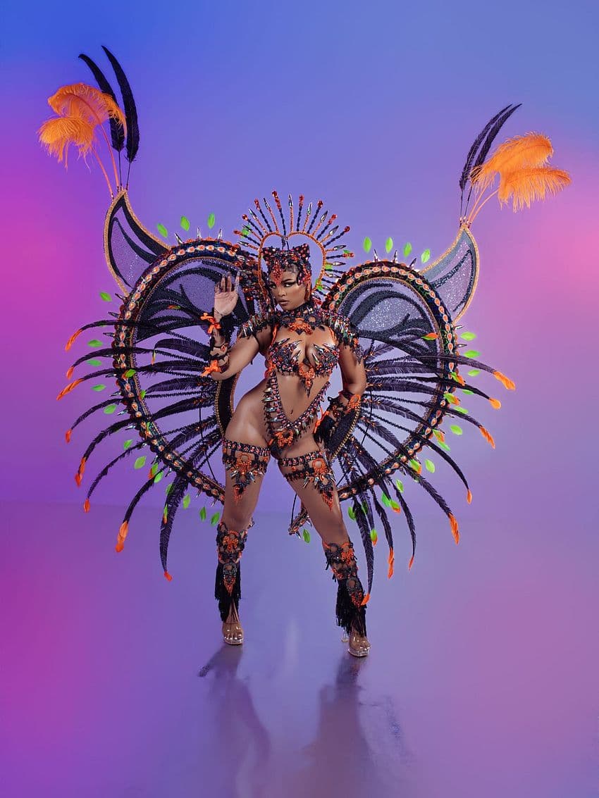Package image
