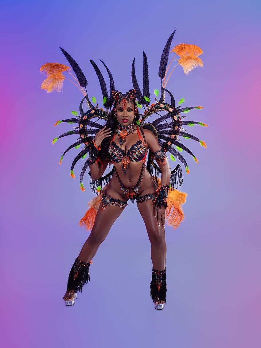 Package image