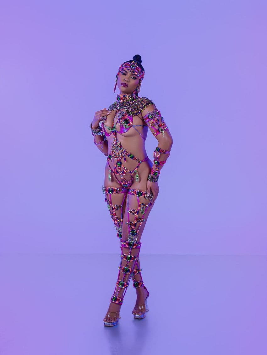 Package image